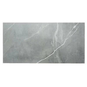 Ersatzfliese Boden Villeroy & Boch E3425 2394 MC6M Trianon grau matt 30 x 60 cm - Bild 1 von 7