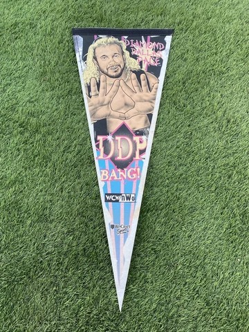 1998 ddp bang wcw nwo flag diamond dallas page Cover