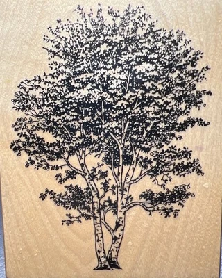 PSX K-1454 Grande Abedul Árbol Naturaleza Goma Sello Paisaje Temporada Paisaje Madera Foto 1 de 4