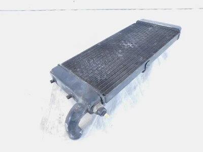 Radiador refrigerante motor delantero Honda VT750 VT750C Shadow 750 ACE Deluxe & Spirit Foto 1 de 4