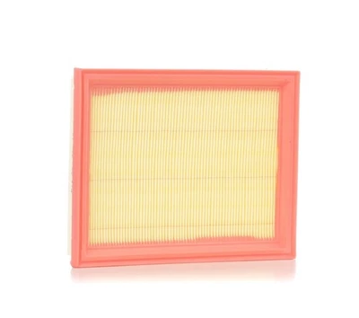 Filtro de aire RIDEX 8A0043 FORD Fiesta Mk5 hatchback (JH1, JD1, JH3, JD3) - Imagen 1 de 4
