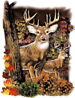 Sublimation Print Woodland Deer Ready to Press Heat Transfer