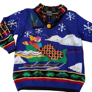 Berek Marta D Sweater Hand Knit Wearable Art Winter Sleigh Size Medium Vintage - Picture 1 of 19