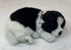 Juguete de peluche de respiración realista realista Petzzz Border Collie probado funciona - Imagen 1 de 13