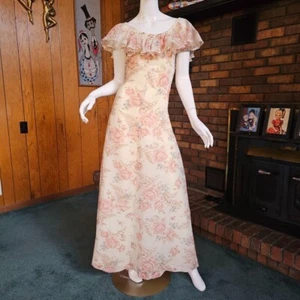 Vtg 70s Romantic Garden Party Hippie Zum Zum Ruffle Maxi Prairie Prom Dress S - Picture 1 of 11