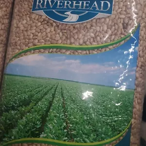 25 lb. Bulk Wholesale Organic Dried Pinto Beans - Made in USA - Picture 1 of 4