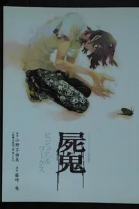JAPAN Ryu Fujisaki & Fuyumi Ono: Shiki visuelle Werke (Buch) - Bild 1 von 12
