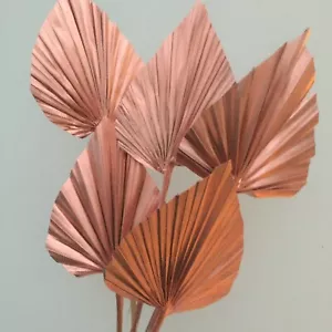 Mazzo di 5 MINI lance di palma essiccate in rame/oro rosa, TOPPER PER TORTE. - Foto 1 di 3