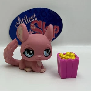 Chinchilla #599 mit Zubehör - Littlest Pet Shop - Hasbro LPS - Bild 1 von 4