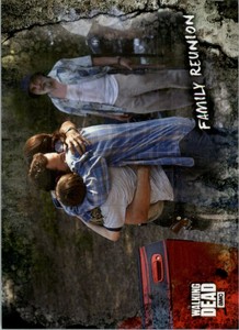 2018 The Walking Dead Road to Alexandria #9 Family Reunion