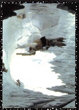 1996 Panini Star Wars Stickers NonSport Album Stickers Pick From List