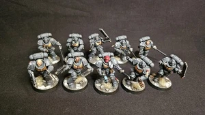 Space Wolves | Assault Intercessors | Painted & Ready for Battle - Picture 1 of 10