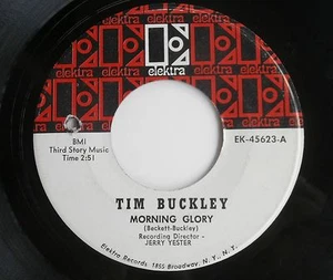 Psych 45 Record Tim Buckley Morning Glory ~ Commercial Label 1 OF 2 KNOWN COPIES - Picture 1 of 7
