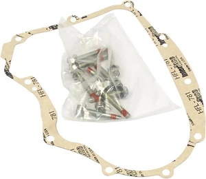 Genuine Briggs and Stratton 594195 Crankcase Gasket Kit Gray - Picture 1 of 3