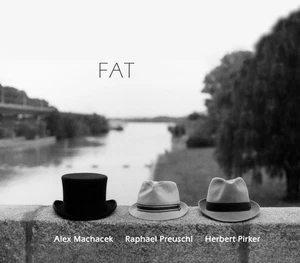 Fat - Picture 1 of 1