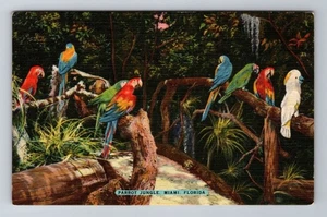 Miami FL-Florida, Parrot Jungle, Antique Vintage Souvenir Postcard - Picture 1 of 2