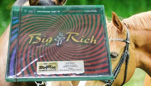 Horse of a Different Color by Big & Rich (CD, May-2004, Warner Bros.) - Imagen 1 de 5