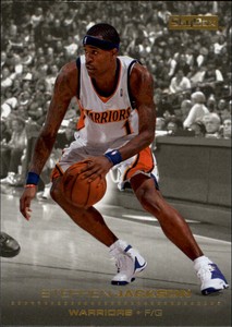 2008-09 SkyBox Basketball #50 Stephen Jackson