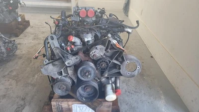1993-1995 Ford F250-F350 7.5L Gas Engine, 200k Miles, MT (VIN G, 8th Digit) - Image 1 of 4