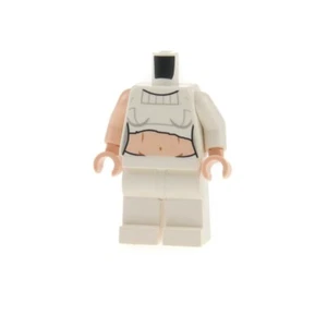1X Lego Torso Legs Minifigure Star Wars Padme Amidala SW0490 970C00 973PB1518 - Picture 1 of 2