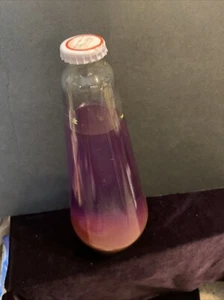 Vintage Lava World Lava Lite Replacement Glass Bottle Purple Yellow 11" USA - Picture 1 of 3