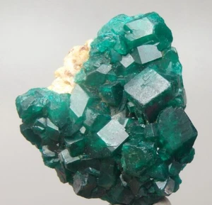 DIOPTASE beautiful crystals --- Dem. Rep. CONGO - Kolwezi - Kapata Mine /pk789 - Picture 1 of 13
