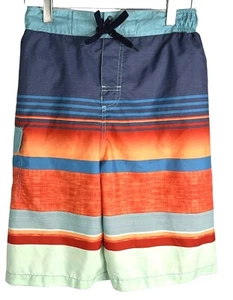 Rusty Men's Colorful Swim Trunks With Elastic Waist & Drawstring. Sz XL (18/20) - Picture 1 of 5