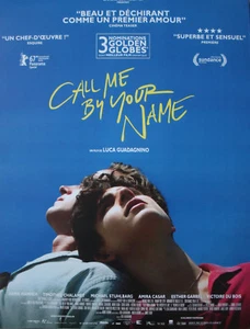 CALL ME BY YOUR NAME Affiche Cinéma Originale ROULEE 53x40 Movie Poster - Imagen 1 de 1