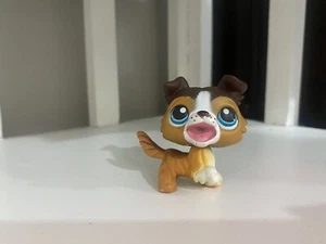 Authentischer Littlest Pet Shop Collie 237. - Bild 1 von 3