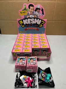 2019 Pee-Wee's Playhouse Keshi Surprise Wave 2 figures full box of 24! super 7 - Picture 1 of 8
