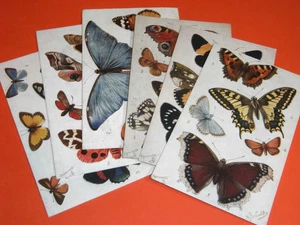 ORIGINAL  SET OF SIX  WEALTHY SIGNED TUCK POSTCARDS - BUTTERFLIES & MOTHS, 9262. - Picture 1 of 4
