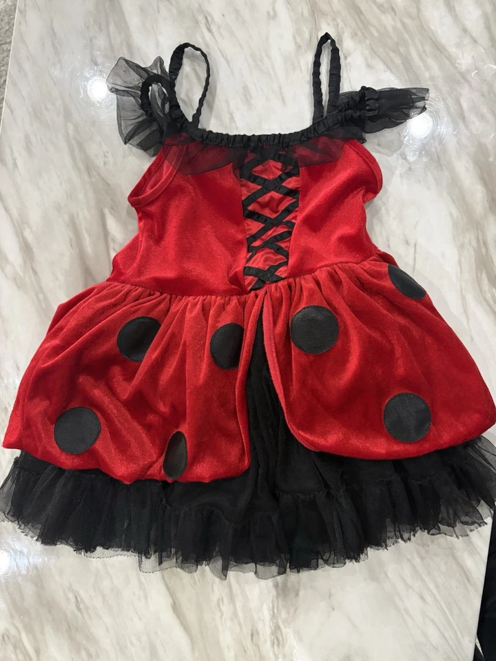Vestido Disfraz Ladybug Niñas Frolics M 5-6 Foto 1 de 4