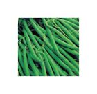35x Stammschnittbohne Green Arrow - Vert Haricots Légumes Plantes - Graines