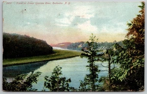 Postkarte Vintage 1908 Lower Genesee River Szene Rochester, NY geteilt Rückseite - Bild 1 von 2