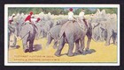 Taddy SPORTS & PASTIMES 1912 *Pick The Card You Need*