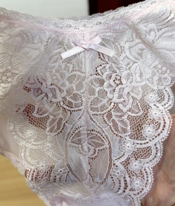 Vintage WACOAL Pale Pink Panty Hi Cut Bikini Sz.6/M Sheer Nylon Lace Briefs - Picture 1 of 19