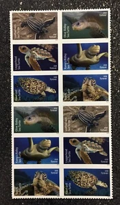 2024USA #5865-5870 Forever Protect Sea Turtles - Block of 12   mint postage - Picture 1 of 1