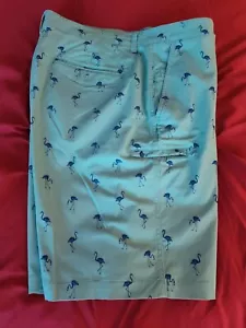 Boca Classics, New Men's Cargo Shorts, Size 40 Aqua With Blue Pelicans - Picture 1 of 6