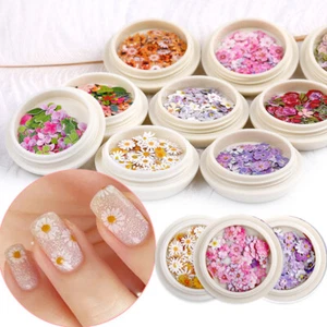 4 Box 3D Dried Dry Flower Design Nail Art Tips Decoration Beauty Manicure DIY - Picture 1 of 10
