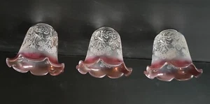 3 TULIPE EN VERRE GRAVE DECOR FLORAL POUR LUSTRE APPLIQUE - Picture 1 of 8
