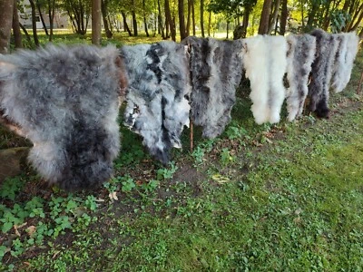 Echte Nordschnucken Schaffelle Schaffell Natur Grau  Viele Größen 2.Wahl - Bild 1 von 4