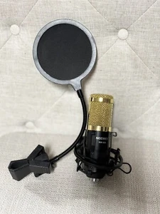 Micrófono condensador profesional Neewer NW-800 dorado - Imagen 1 de 5
