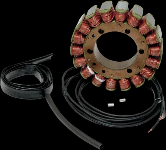 Gerador de estator alternador Rick's BMW G650X 07-11 - Imagem 1 de 4