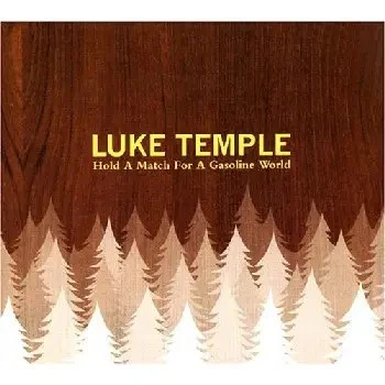 CD Luke Temple Hold A Match For A Gasoline World DIGIPAK Mill Pond Records - Bild 1 von 1