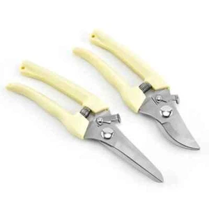 Gardening Shears Pruning Fruit Trees Stainless Steel Garden Flower Shears - Picture 1 of 8