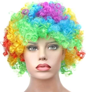 Unisex Adults Rainbow Colours Clown Afro Party Wig Fancy Dress One Size Free P&P - Picture 1 of 4