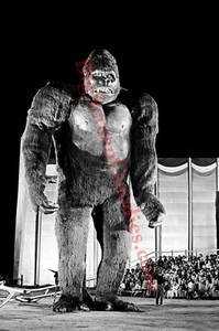 KING KONG (1976) - TREMBLE TO THE CARLO RIMBALDI, DE LAURENTIIS FOLLY! - 8X10 - Picture 1 of 1