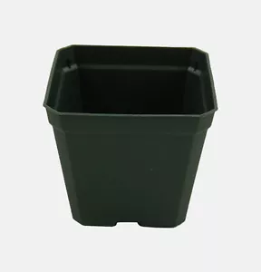 4" Square Greenhouse Pots - Seedlings, Flowers, Tomatoes, Herbs - Case of 846 - Picture 1 of 4