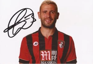 BOURNEMOUTH: STEVE COOK SIGNED 6x4 2016/2017 PORTRAIT PHOTO+COA - Bild 1 von 1