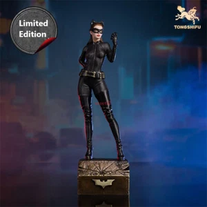 Figura Estatua de Latón Catwoman Anne Hathaway Ver Modelo Pintura a Mano Edición Limitada - Imagen 1 de 24